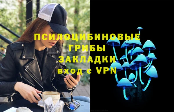 крисы Алзамай
