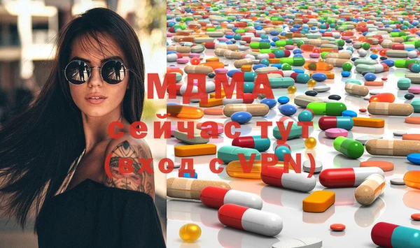 стаф Тайга