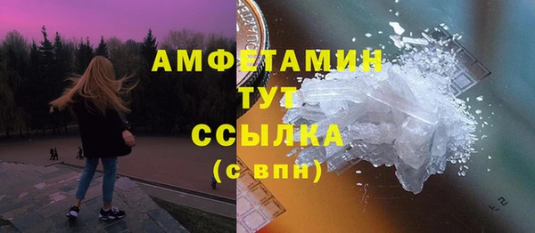 СК Алексин