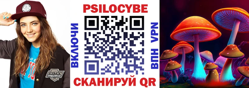где продают   Волгодонск  Галлюциногенные грибы MAGIC MUSHROOMS 