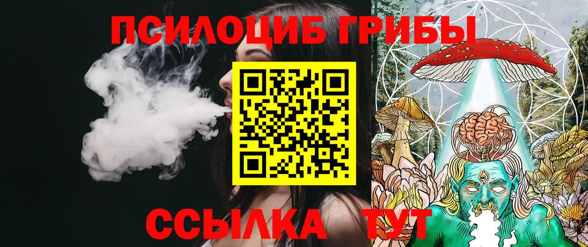 Галлюциногенные грибы Magic Shrooms  Вход с VPN  где можно купить   Волгодонск 